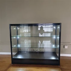 Smoke Vape Store Display Case