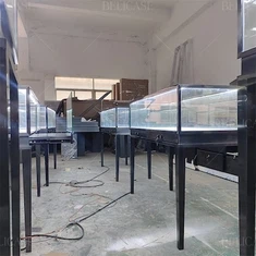 Jewelry Display Case